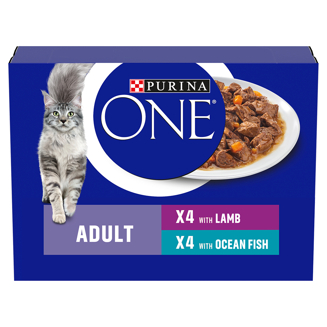 PURINA ONE Mini Fillets Ocean Fish and Lamb Wet Cat Food